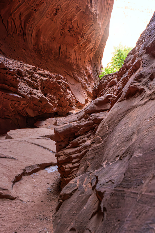 24UTCapitolReefCanyon_8587.jpg :: Capitol Reef National Park, Utah 2024