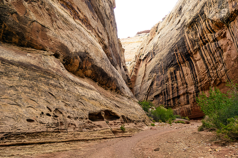24UTCapitolReefTrail_3223.jpg :: Capitol Reef National Park, Utah 2024