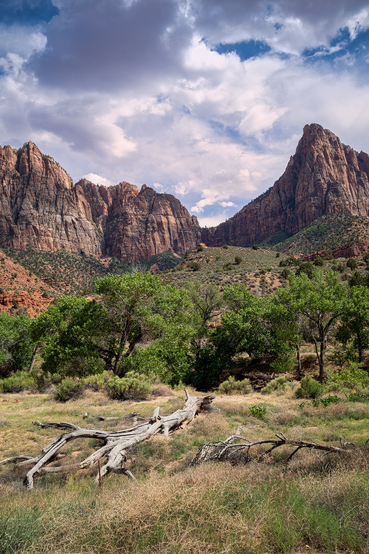 24UTDeadwood_3078.jpg :: Zion National Park, Utah 2024