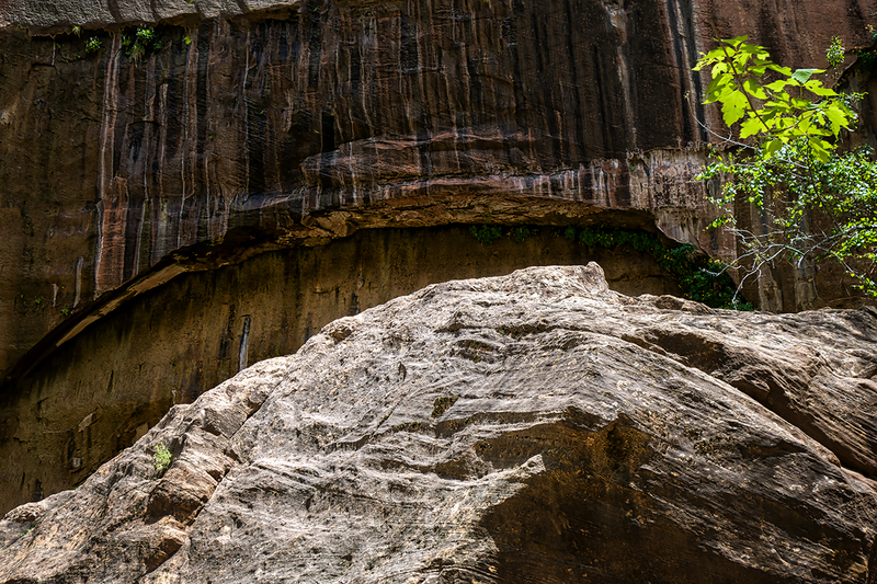 24UTZionCliff_3073.jpg :: Zion National Park, Utah 2024