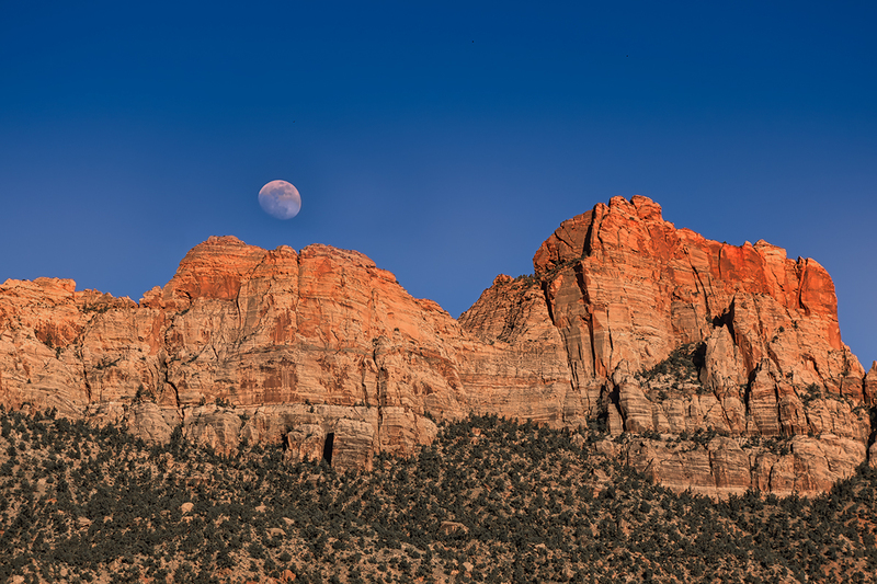 24UTZionMoon_3055.jpg :: Zion National Park, Utah 2024