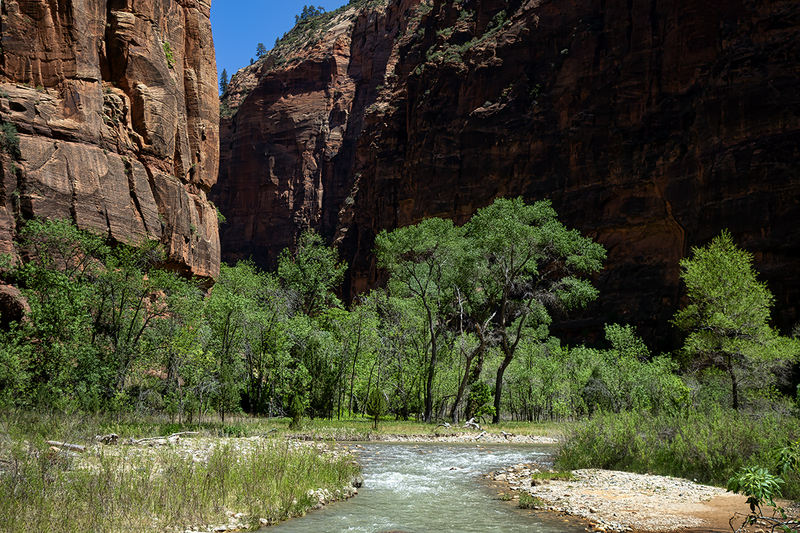 24UTZionStream_3060.jpg :: Zion National Park, Utah 2024