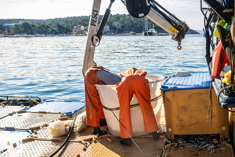 25CROMakarskaFishermen_6619(1).jpg :: Makarska, Croatia 2025