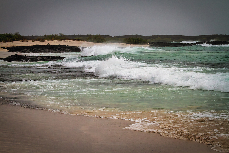 25GALBeach_3686.jpg