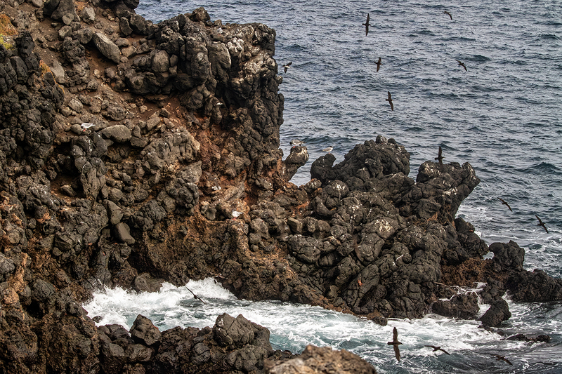 25GALCliffs_3871.jpg