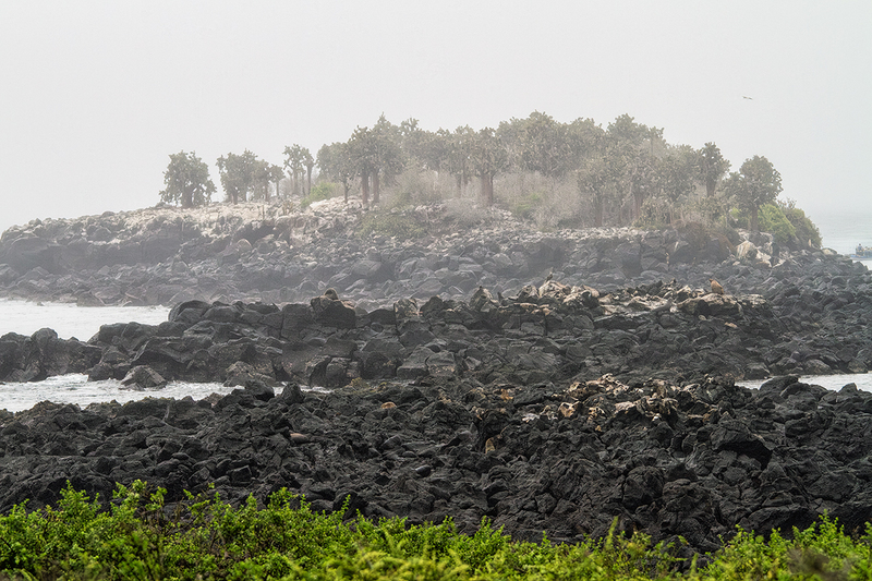 25GALFoggyLandscape_3773.jpg