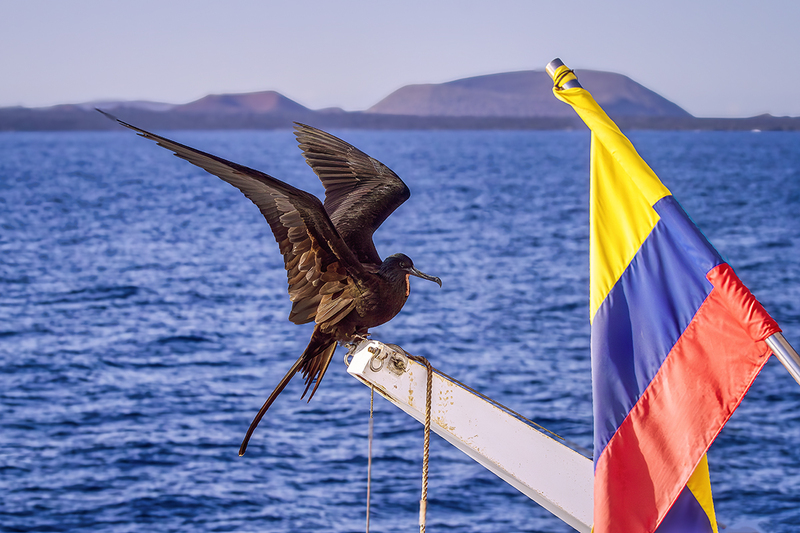 25GALFrigate-Flag_4682.jpg