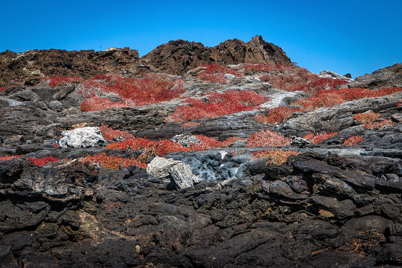 25GALLandscape_0758.jpg