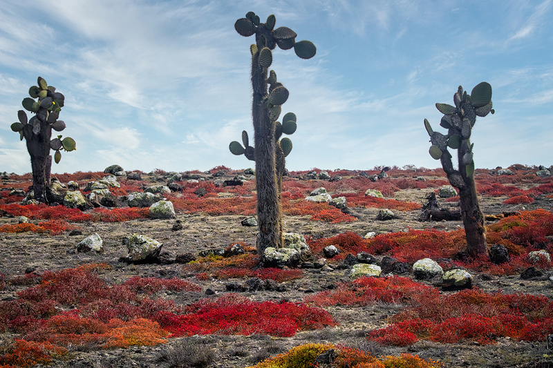 25GALLandscape_3827.jpg