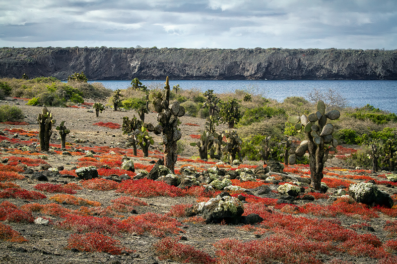 25GALLandscape_3851.jpg