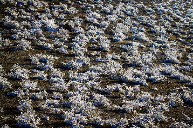 25GALLandscape_4457.jpg