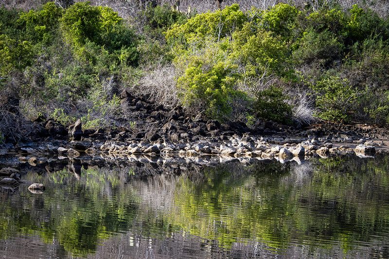 25GALLandscape_4565.jpg