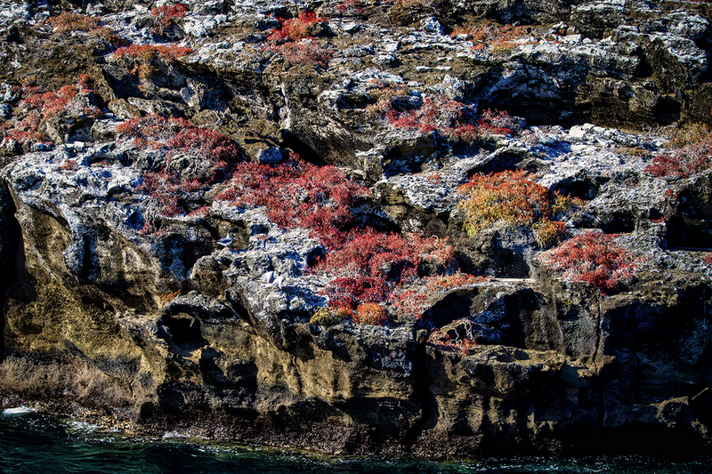 25GALLandscape_4628.jpg