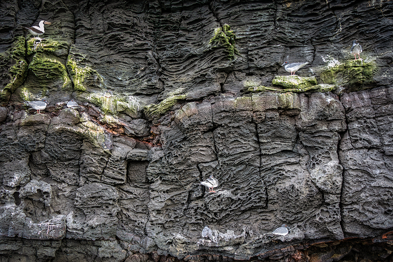 25GALLandscapeWall_5307.jpg