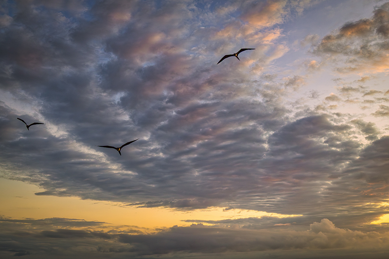 25GALSunset_5291.jpg