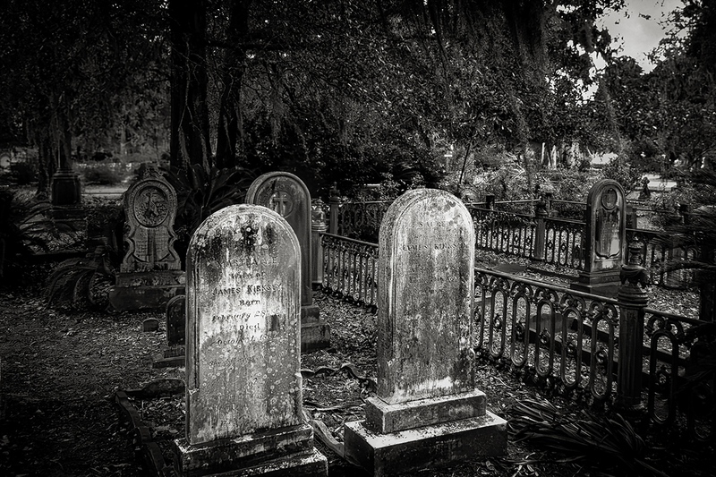 25GASAVBonaventure_8209g(1).jpg :: Bonaventure Cemetery, Savannah, Georgia 2025