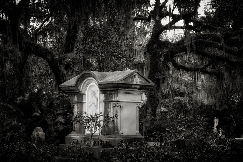 25GASAVBonaventure_8224gs(1).jpg :: Bonaventure Cemetery, Savannah, Georgia 2025