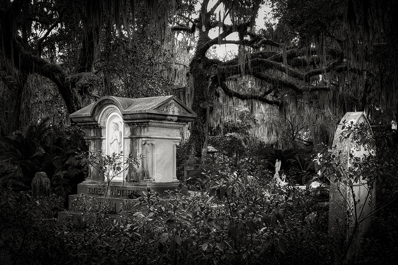 25GASAVBonaventure_8225g(1).jpg :: Bonaventure Cemetery, Savannah, Georgia 2025
