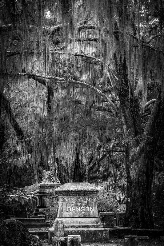 25GASAVBonaventure_8229g(1).jpg :: Bonaventure Cemetery, Savannah, Georgia 2025