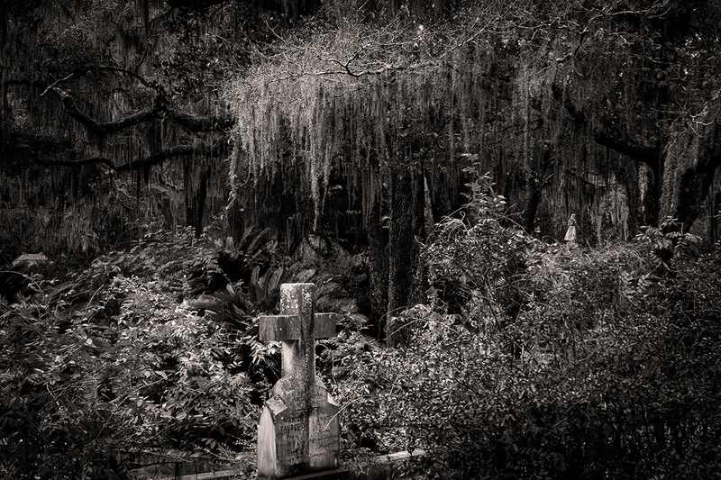 25GASAVBonaventure_8243g(1).jpg :: Bonaventure Cemetery, Savannah, Georgia 2025