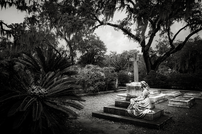 25GASAVBonaventure_8247g(1).jpg :: Bonaventure Cemetery, Savannah, Georgia 2025