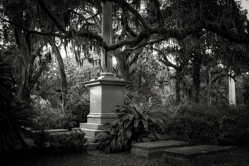 25GASAVBonaventure_8253g(1).jpg :: Bonaventure Cemetery, Savannah, Georgia 2025