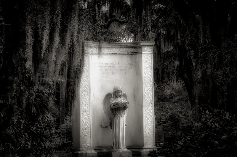 25GASAVBonaventure_8281gs(1).jpg :: Bonaventure Cemetery, Savannah, Georgia 2025