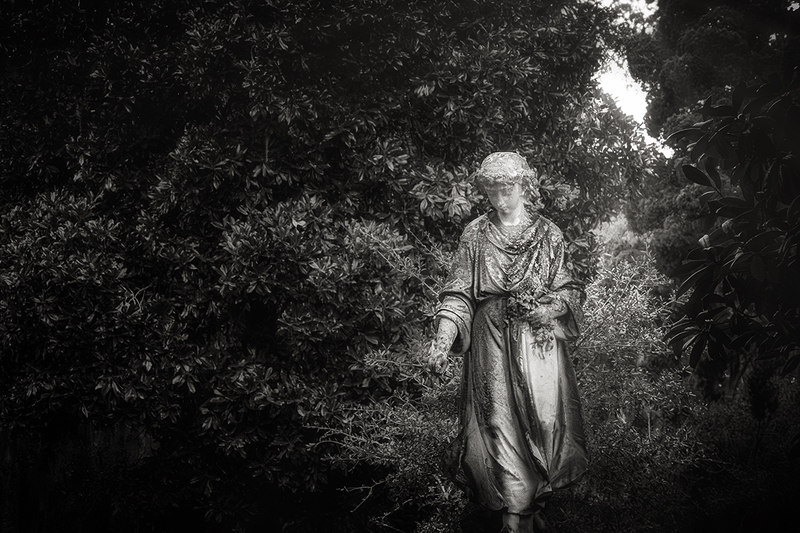 25GASAVBonaventure_8299gs(1).jpg :: Bonaventure Cemetery, Savannah, Georgia 2025