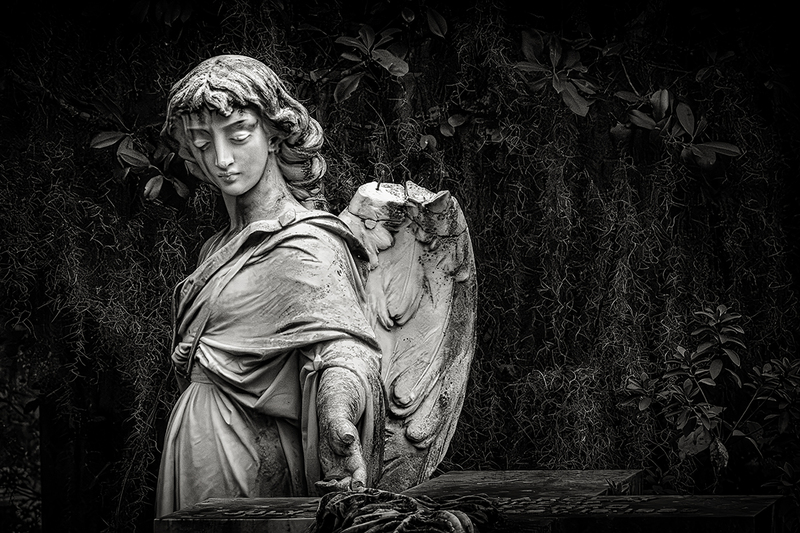25GASAVBonaventure_8305g(1).jpg :: Bonaventure Cemetery, Savannah, Georgia 2025