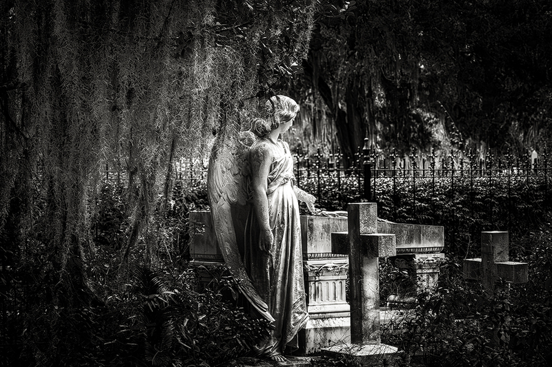 25GASAVBonaventure_8312g(1).jpg :: Bonaventure Cemetery, Savannah, Georgia 2025