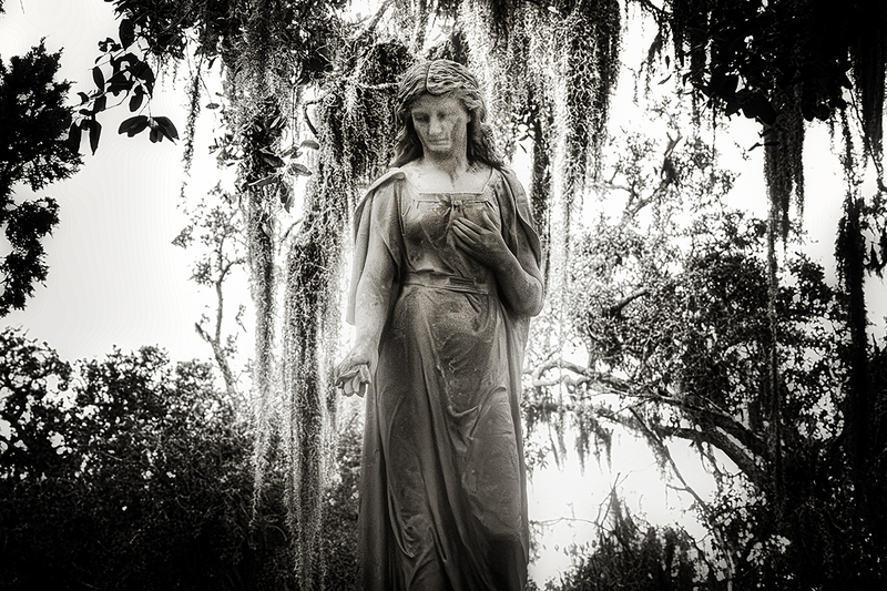 25GASAVBonaventure_8317g(1).jpg :: Bonaventure Cemetery, Savannah, Georgia 2025