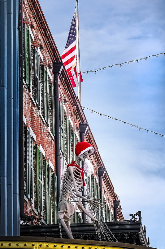 25GASAVSkeleton_7890(1).jpg :: Savannah, Georgia 2025