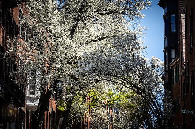 25MABostBeaconHill_0131.jpg