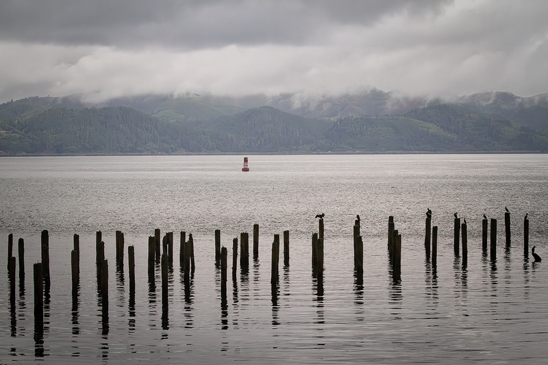 25ORAstoria-Pilings_5937.jpg