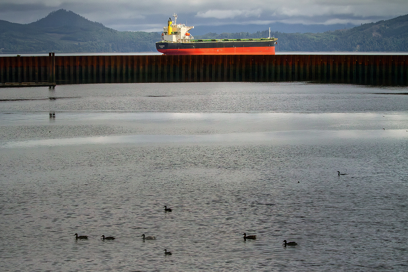 25ORAstoria-ShipDucks_5966.jpg
