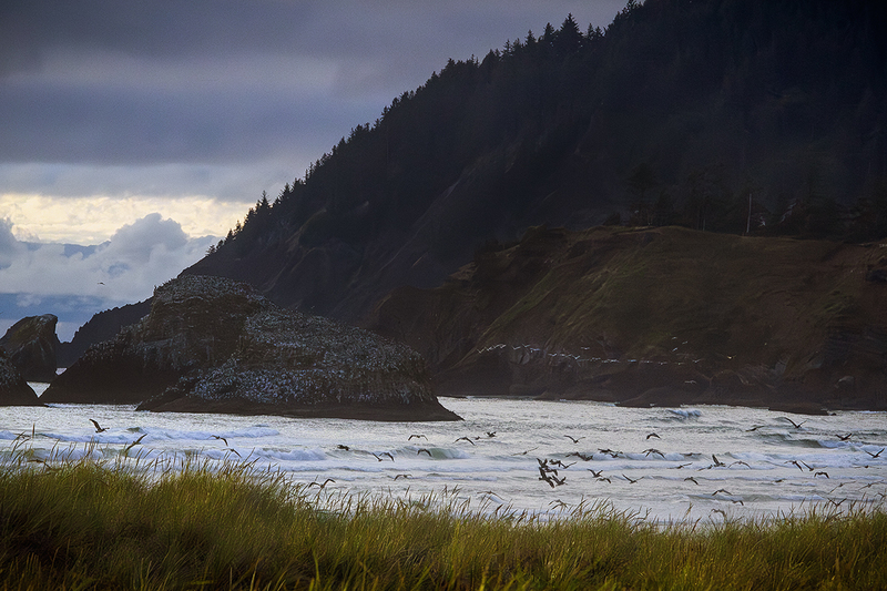 25ORCannonBeachSunset_6092.jpg