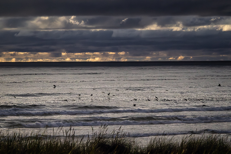 25ORCannonBeachSunset_6093.jpg