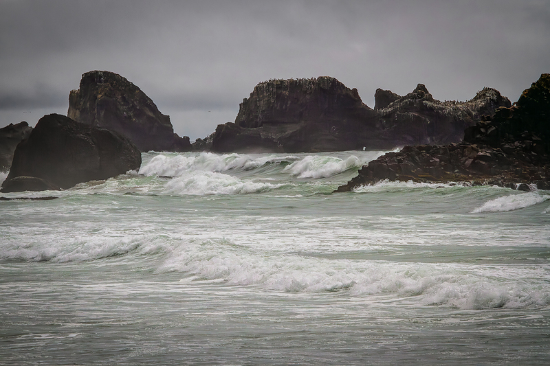 25OREcolaStatePark-Waves_6062.jpg