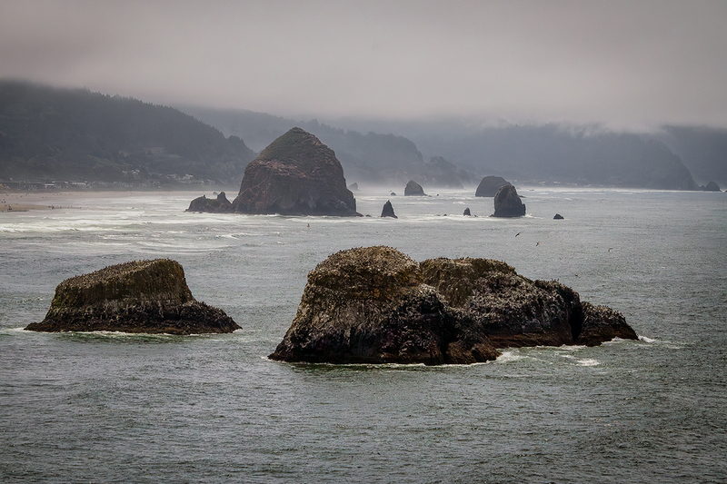 25OREcolaStatePark_5969.jpg
