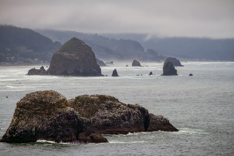 25OREcolaStatePark_5978.jpg