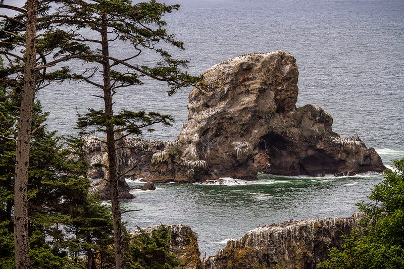25OREcolaStatePark_5998.jpg