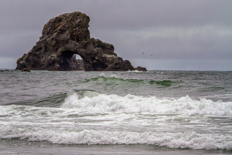 25OREcolaStatePark_6039.jpg