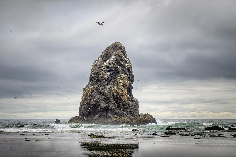 25ORHaystack-CannonBeach_2651.jpg