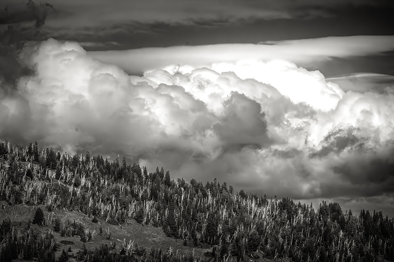 25ORMtHoodCloud_6350g.jpg