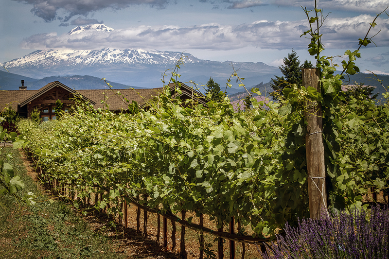 25ORMtHoodValley_6438.jpg
