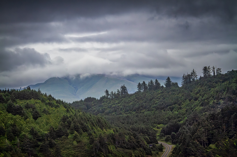 25OROregonWoods_6243.jpg