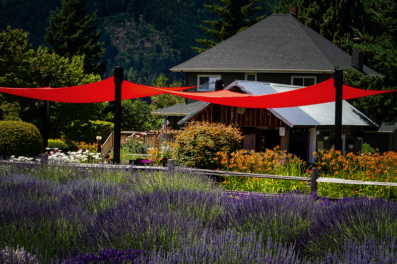 25ORRedAwning_6426.jpg