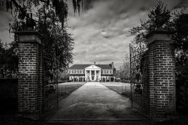 25SCCharlestonPlantation_8659g(1).jpg :: Boone Hall Plantation & Gardens, Mt. Pleasant, South Carolina 2025