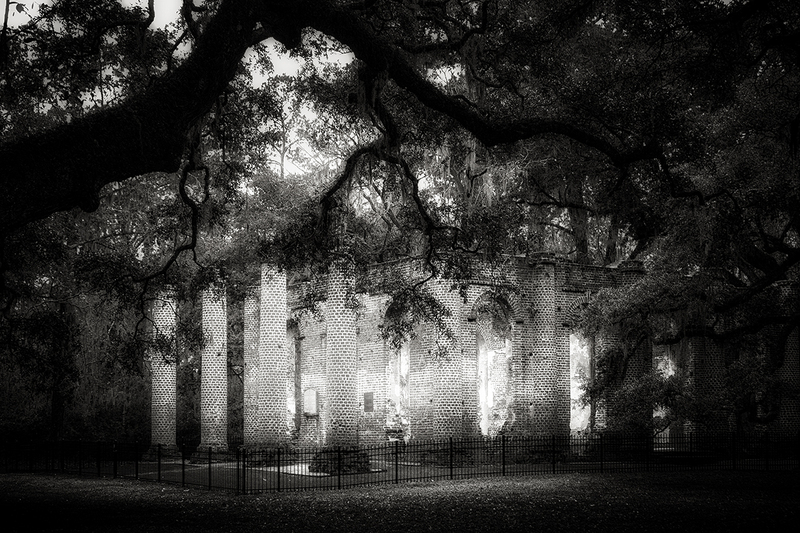 25SCOldSheldonChurch_8355gs(1).jpg :: Old Sheldon Church, Beaufort County, South Carolina 2025