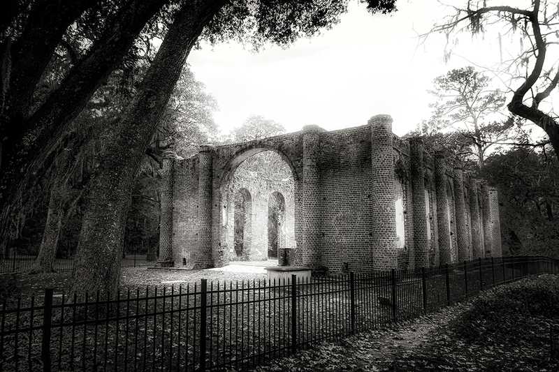 25SCOldSheldonChurch_8370gs(1).jpg :: Old Sheldon Church, Beaufort County, South Carolina 2025